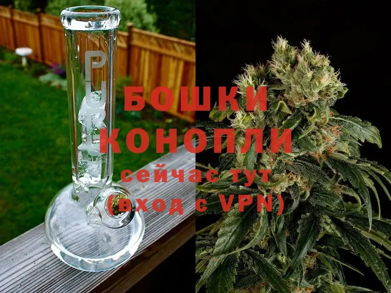 Канабис Bruce Banner  Коркино 